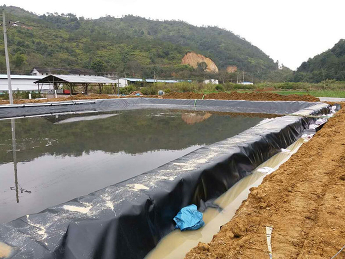 魚(yú)塘里用土工膜做防滲層需不需要回填土壤？